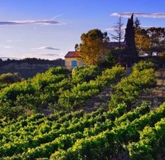 DEJEUNER CROISIERE EN AVIGNON