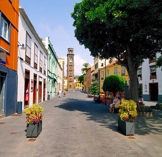 DECOUVERTE DE TENERIFE