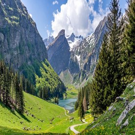 SPLENDEURS DE 4 PAYS 
